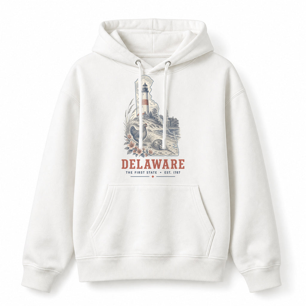 Vintage Delaware State Graphic Pullover Hoodie in White, front view on a white background