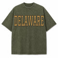 Delaware Collegiate Letter washed vintage heavyweight T-shirt in Military Green