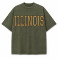 Illinois Collegiate Letter washed vintage heavyweight T-shirt in Military Green