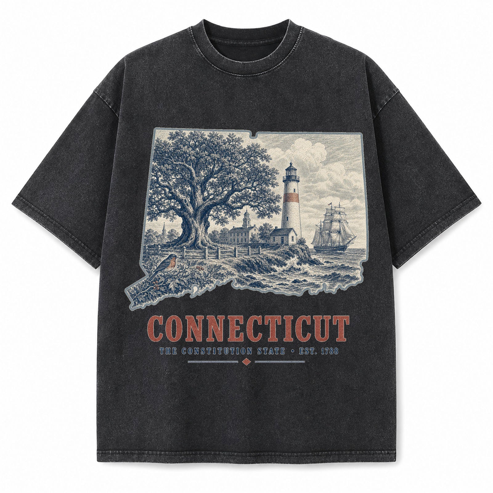 Vintage Washed Connecticut Lighthouse Graphic Tee in Black, front view on a white background