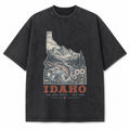 Vintage Washed Idaho Mountain Graphic Tee in Black, front view on a white background