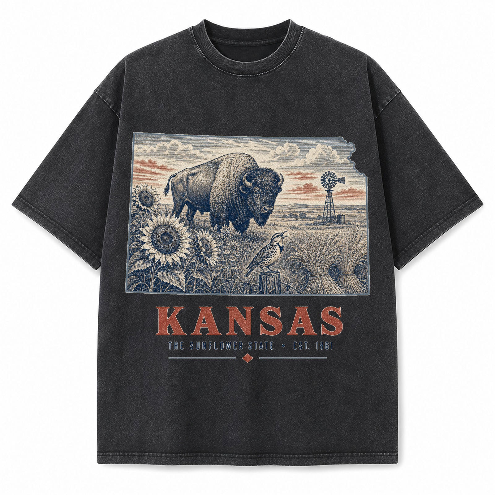 Vintage Washed Kansas Bison Graphic Tee in Black, front view on a white background