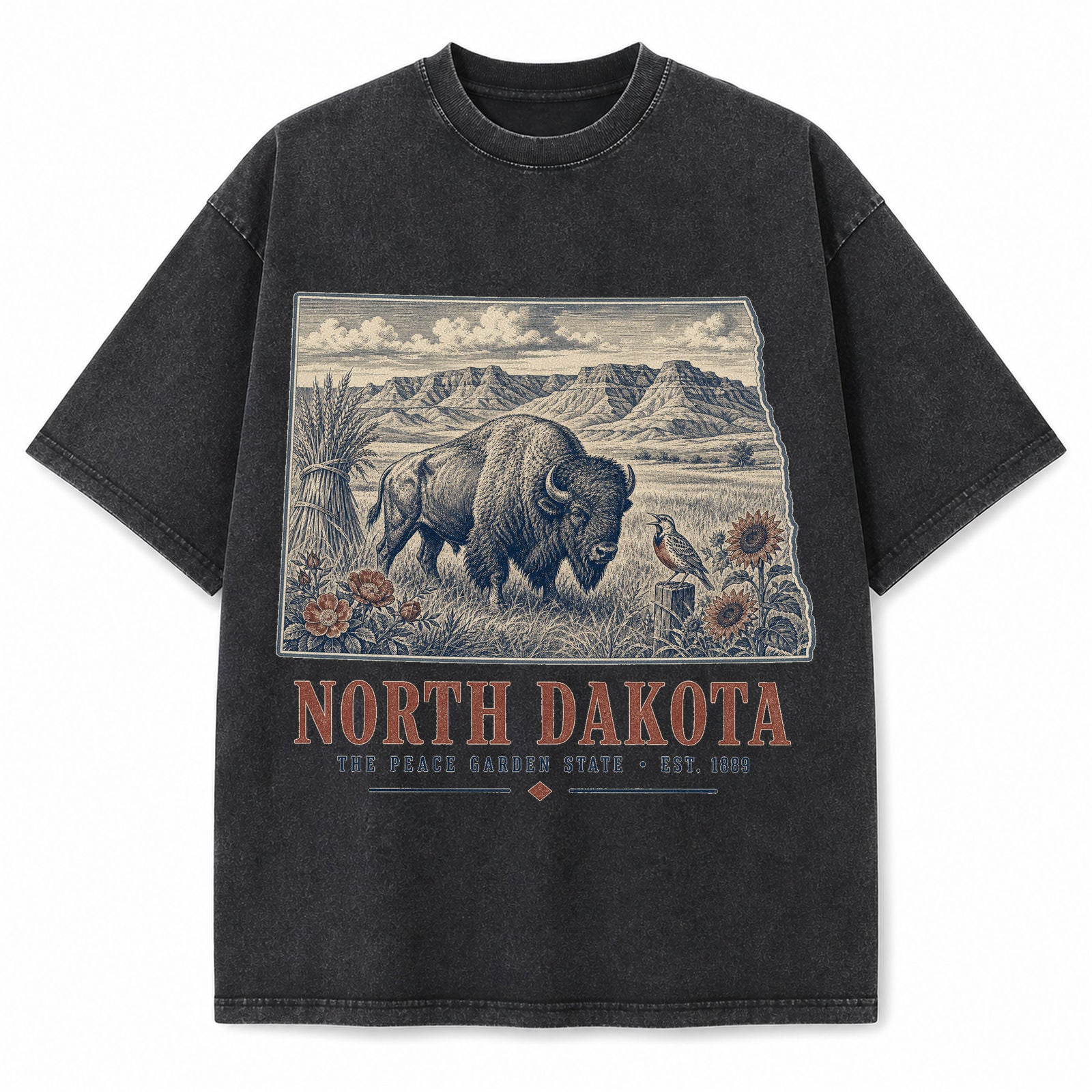 Vintage Washed North Dakota Bison Graphic Tee in Black, front view on a white background