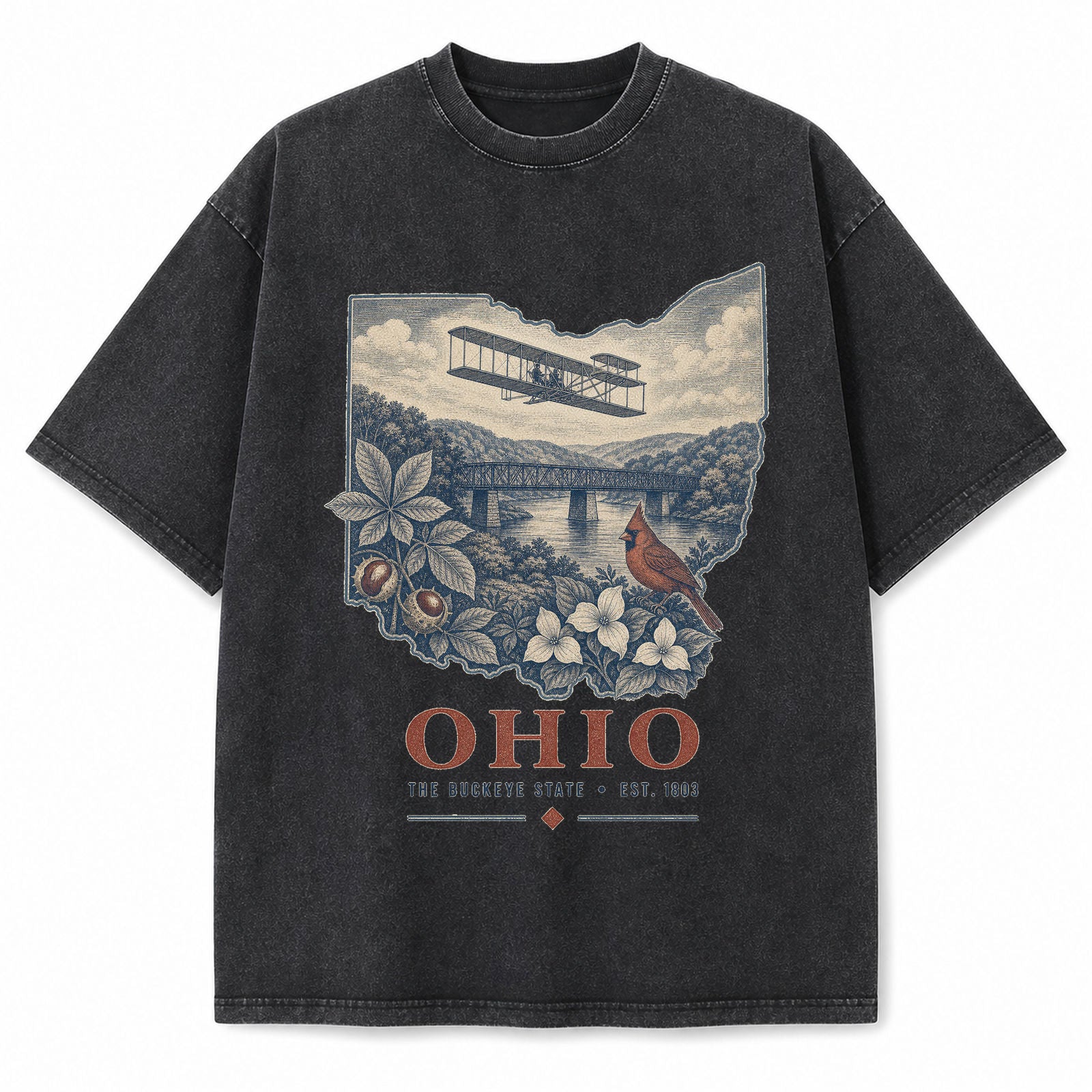 Vintage Washed Ohio Aviation Graphic Tee in Black, front view on a white background