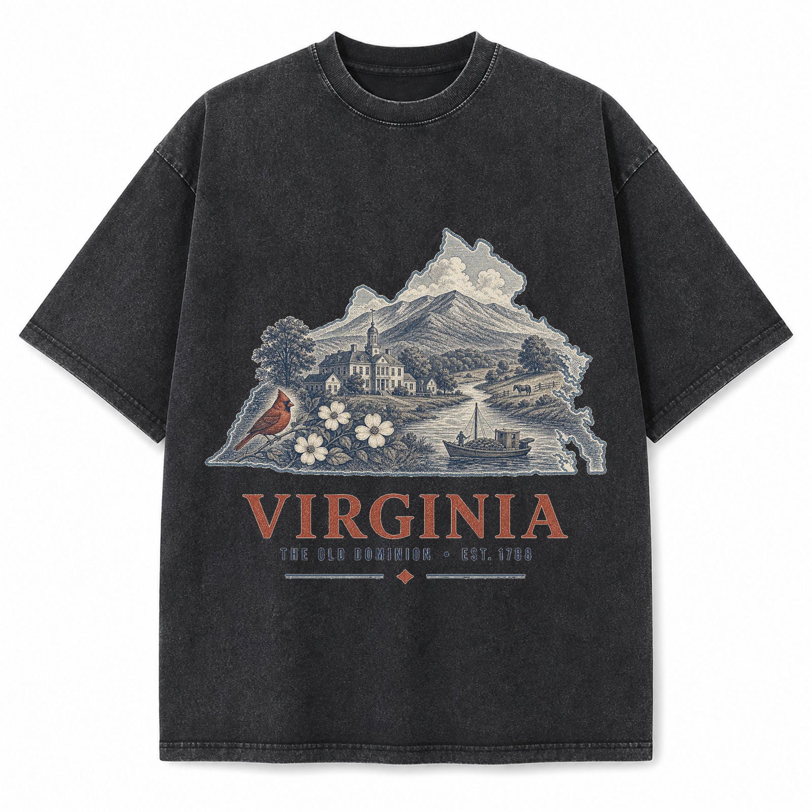 Vintage Washed Virginia Blue Ridge Graphic Tee in Black, front view on a white background