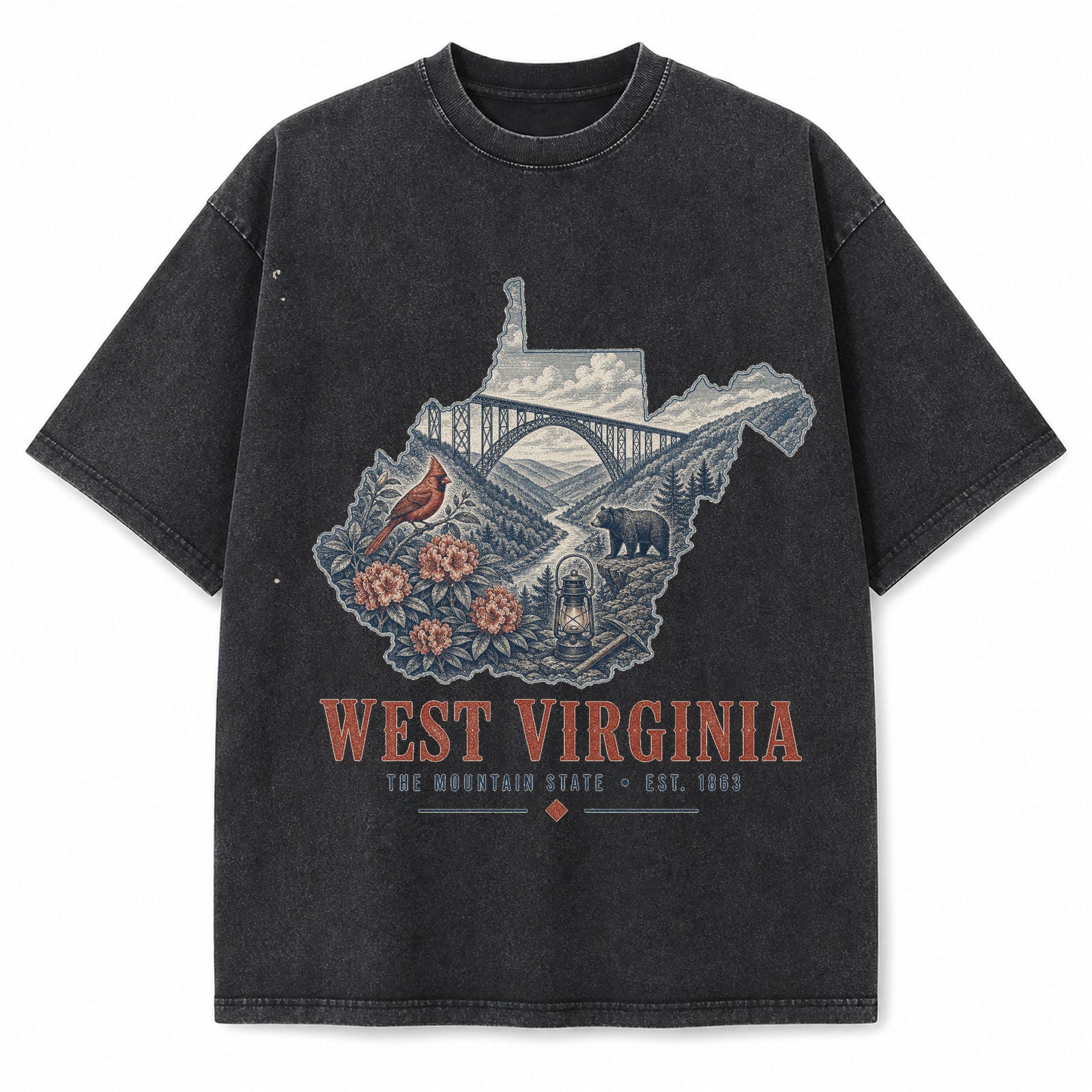 Vintage Washed West Virginia New River Gorge Graphic Tee in Black, front view on a white background