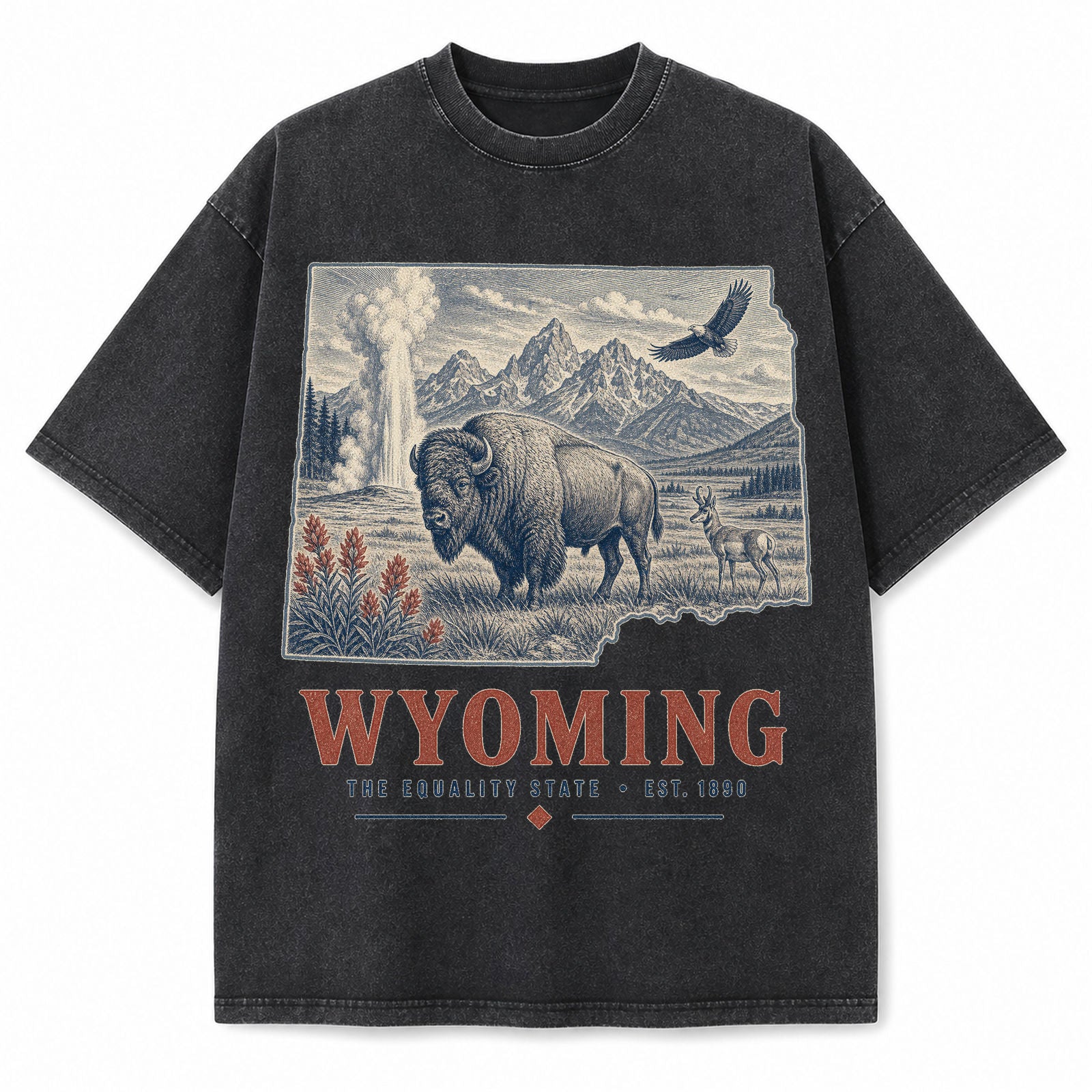 Vintage Washed Wyoming Bison Graphic Tee in Black, front view on a white background