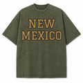 New Mexico Collegiate Letter washed vintage heavyweight T-shirt in Military Green