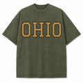 Ohio Collegiate Letter washed vintage heavyweight T-shirt in Military Green