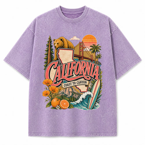 Colorful California State Collage Washed Vintage T-Shirt in Purple, front view on a white background